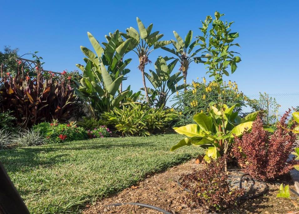 לה אורוטבה Casa Vina: A Spectacular Away From It All Holiday מראה חיצוני תמונה
