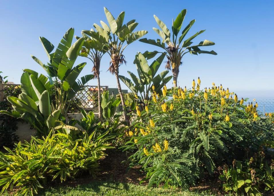 לה אורוטבה Casa Vina: A Spectacular Away From It All Holiday מראה חיצוני תמונה