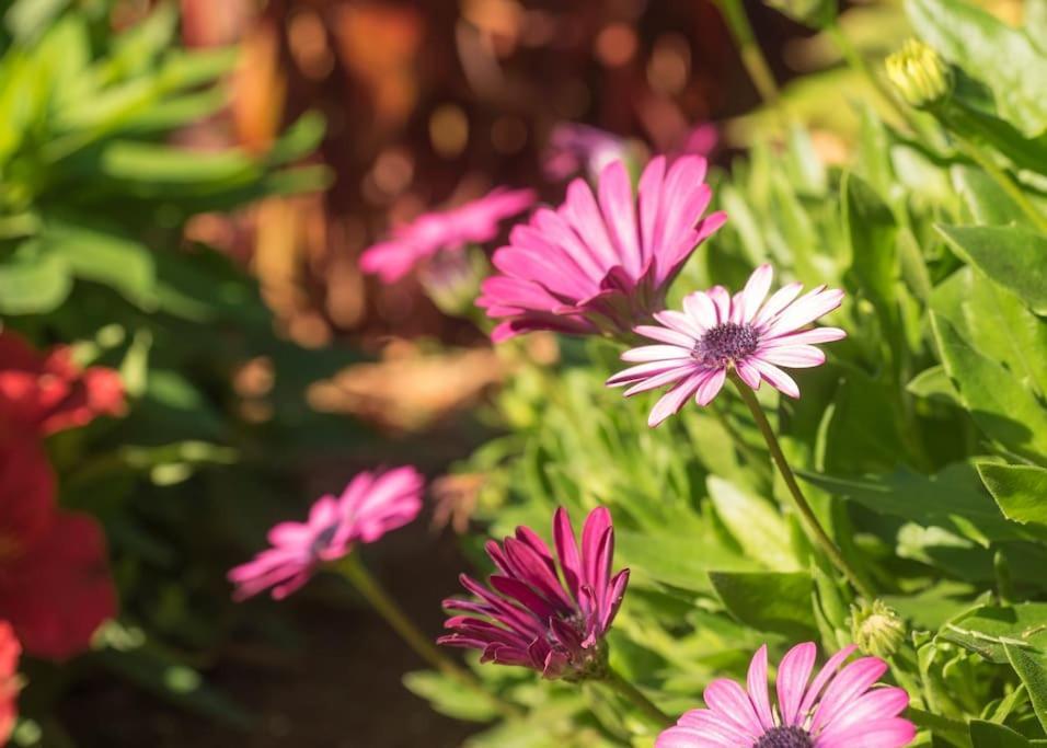 לה אורוטבה Casa Vina: A Spectacular Away From It All Holiday מראה חיצוני תמונה